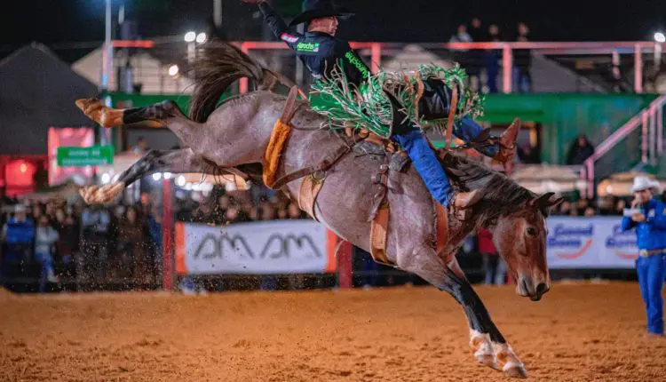 Ekip Rozeta e Barral Ranch fecham parceria inédita para levar o Cutiano aos Estados Unidos Brazilian Rodeo