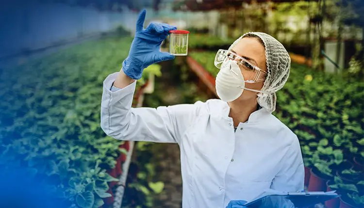 Biossegurança ou colapso: o que está em jogo na proteção da cadeia alimentar brasileira