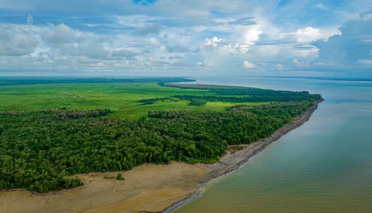 Petrobras falha em teste de resgate de animais na busca por licença na Foz do Amazonas