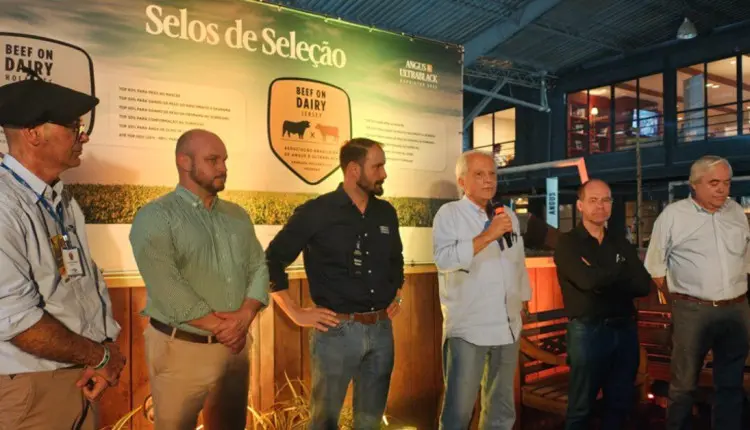 selo beef on dairy