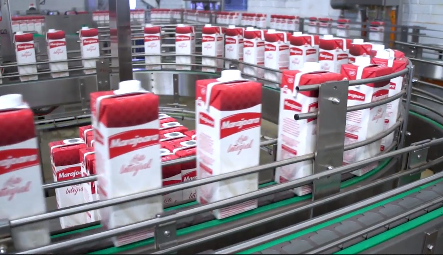 Consumir leite previne osteoporose na terceira idade?