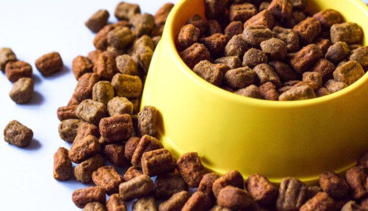 Abertura de mercados para o Brasil na Malásia e em Burkina Faso