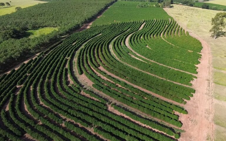 Café arábica da Nova Alta Paulista recebe selo de indicação geográfica