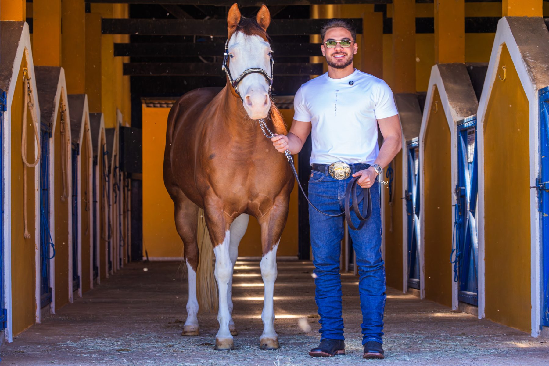 Leilão Inevitável XJGC