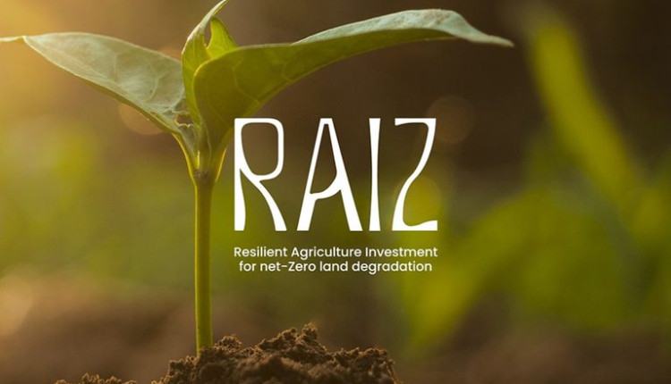 Brasil lança iniciativa global para recuperação de áreas degradadas durante a COP 30