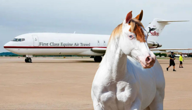 Air Horse One