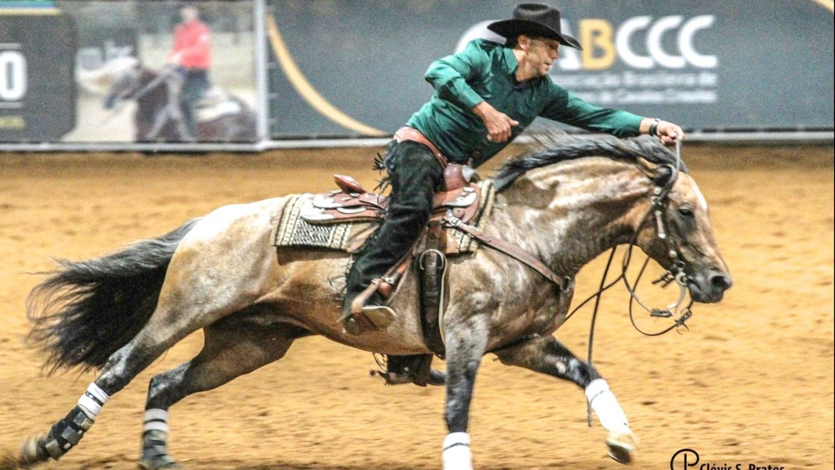 Cavalo Crioulo Duque do Caajara - foto Clovis S Prates