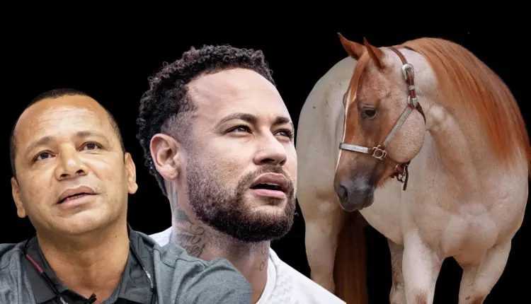 Cavalo Quarto de Milha POP SHINERS BLU - investidores Neymar Jr e Neymar pai