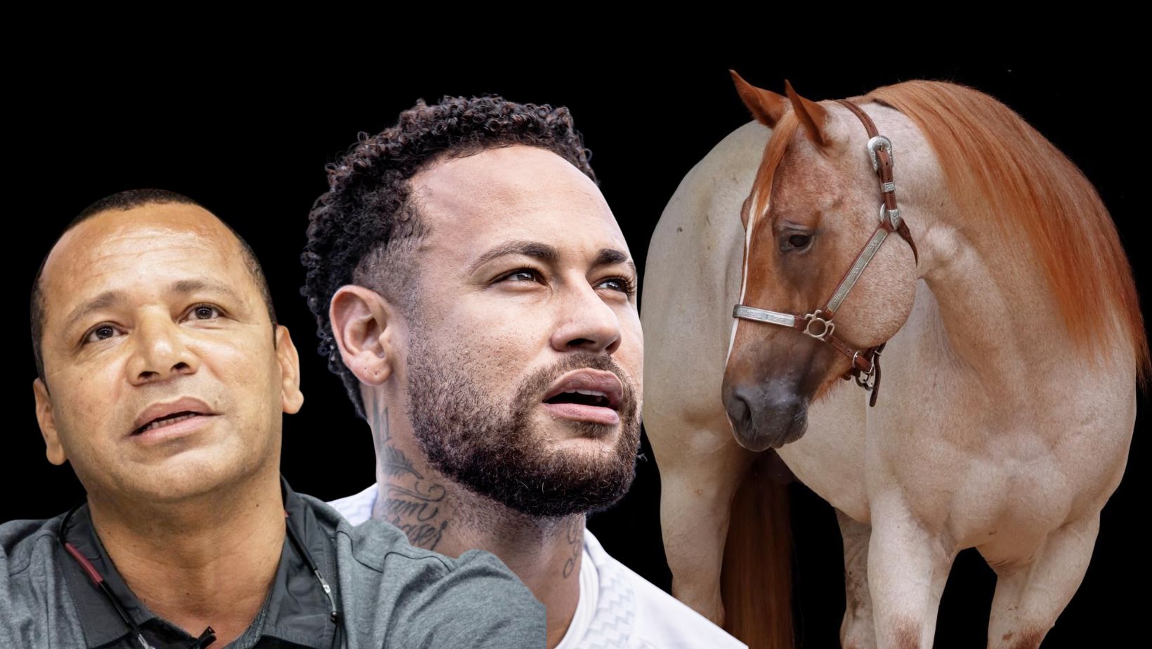 Cavalo Quarto de Milha POP SHINERS BLU - investidores Neymar Jr e Neymar pai