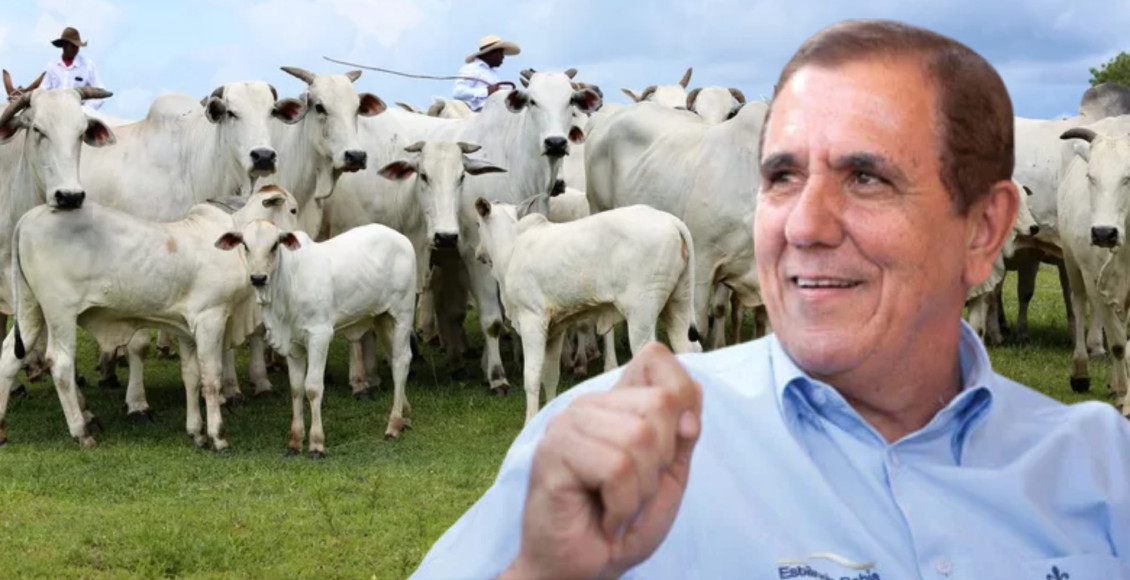 Conheça o Rei dos Leilões: De feirante à maior leiloeiro do Brasil