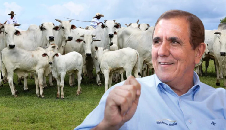 Conheça o Rei dos Leilões: De feirante à maior leiloeiro do Brasil