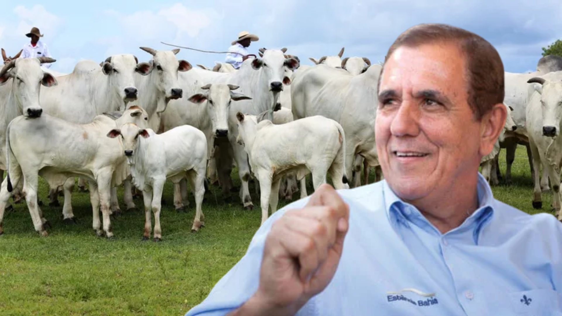 Conheça o Rei dos Leilões: De feirante à maior leiloeiro do Brasil