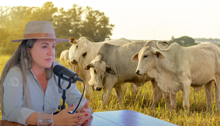 Como transformar 35 bois em uma boiada: a jornada da Dama do Agro