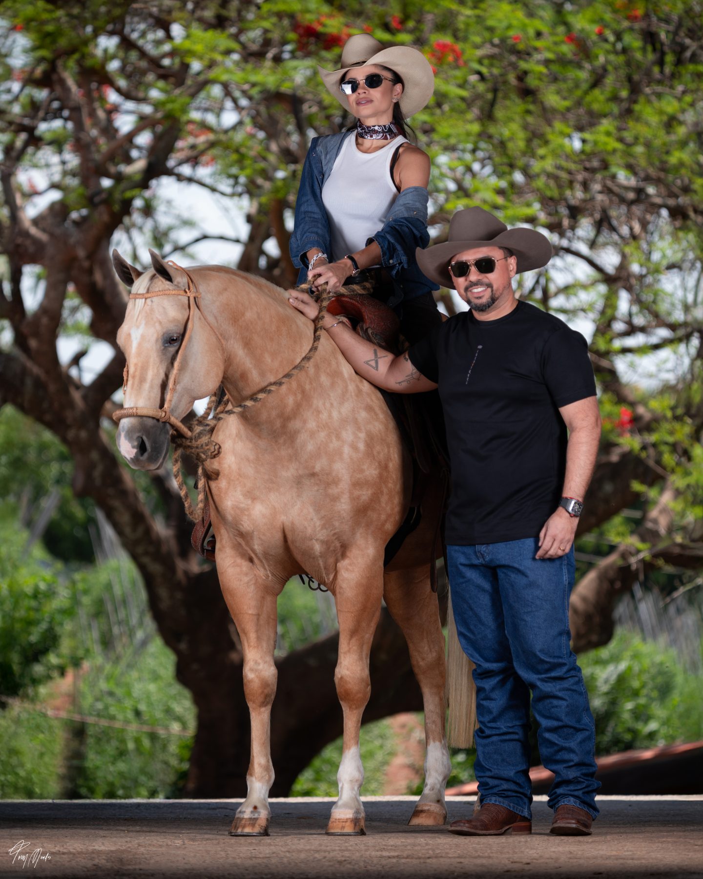 Leilão Inevitável XJGC