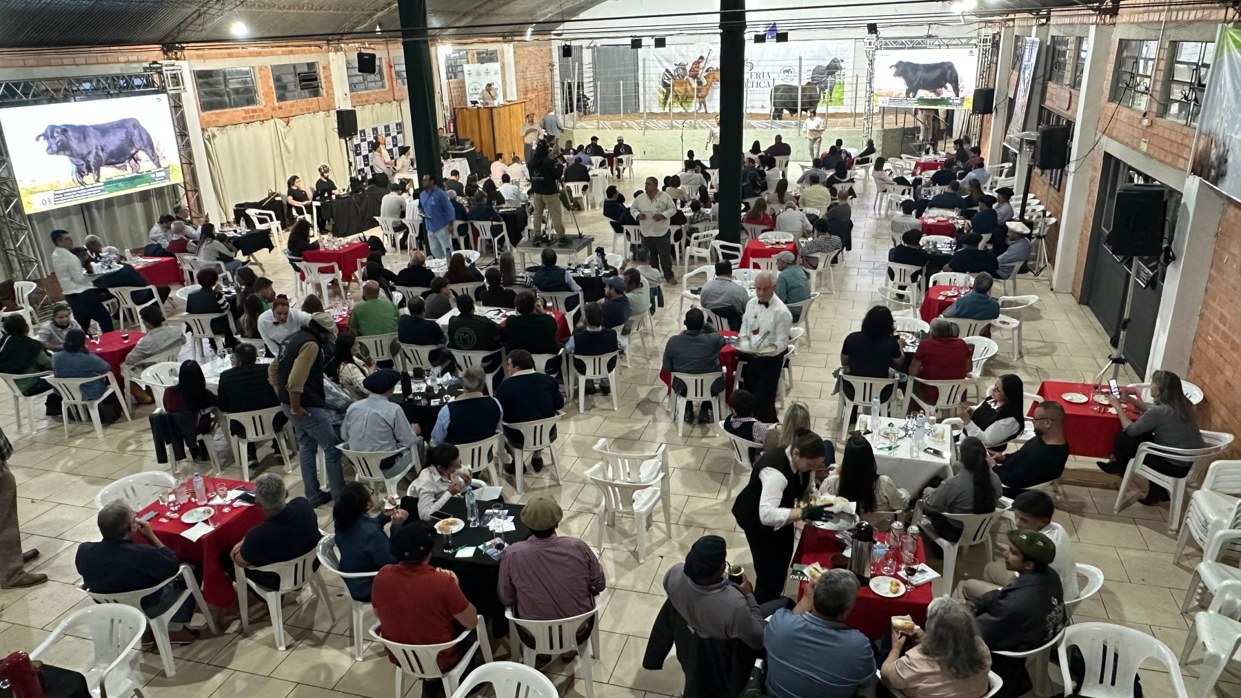 Parceria genética abre Expofeira de Livramento com recorde de vendas