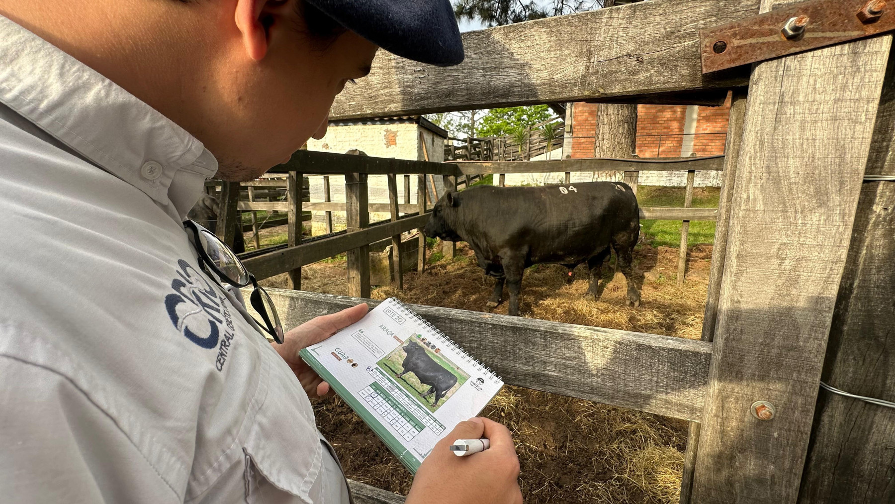 Parceria genética abre Expofeira de Livramento com recorde de vendas