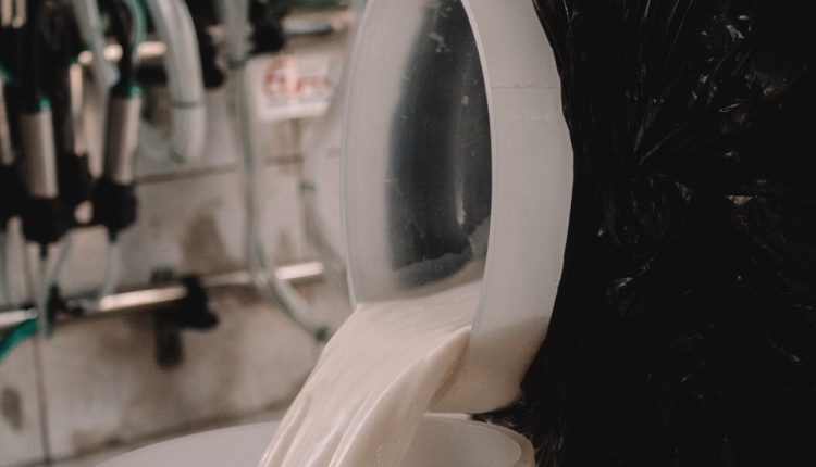Preço do leite preocupa produtores e Gadolando cobra medidas urgentes para conter crise