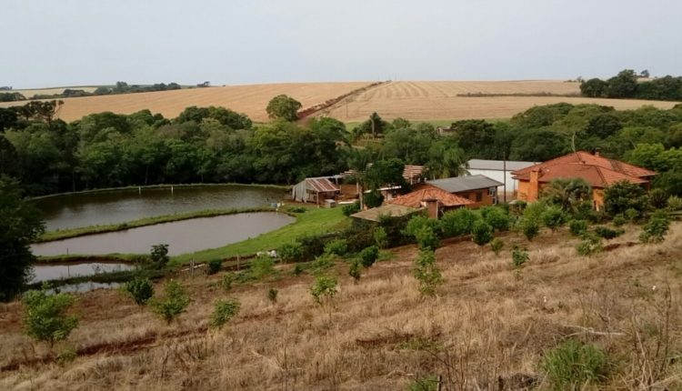 Prorrogado o prazo para ratificação de imóveis rurais em faixa de fronteira