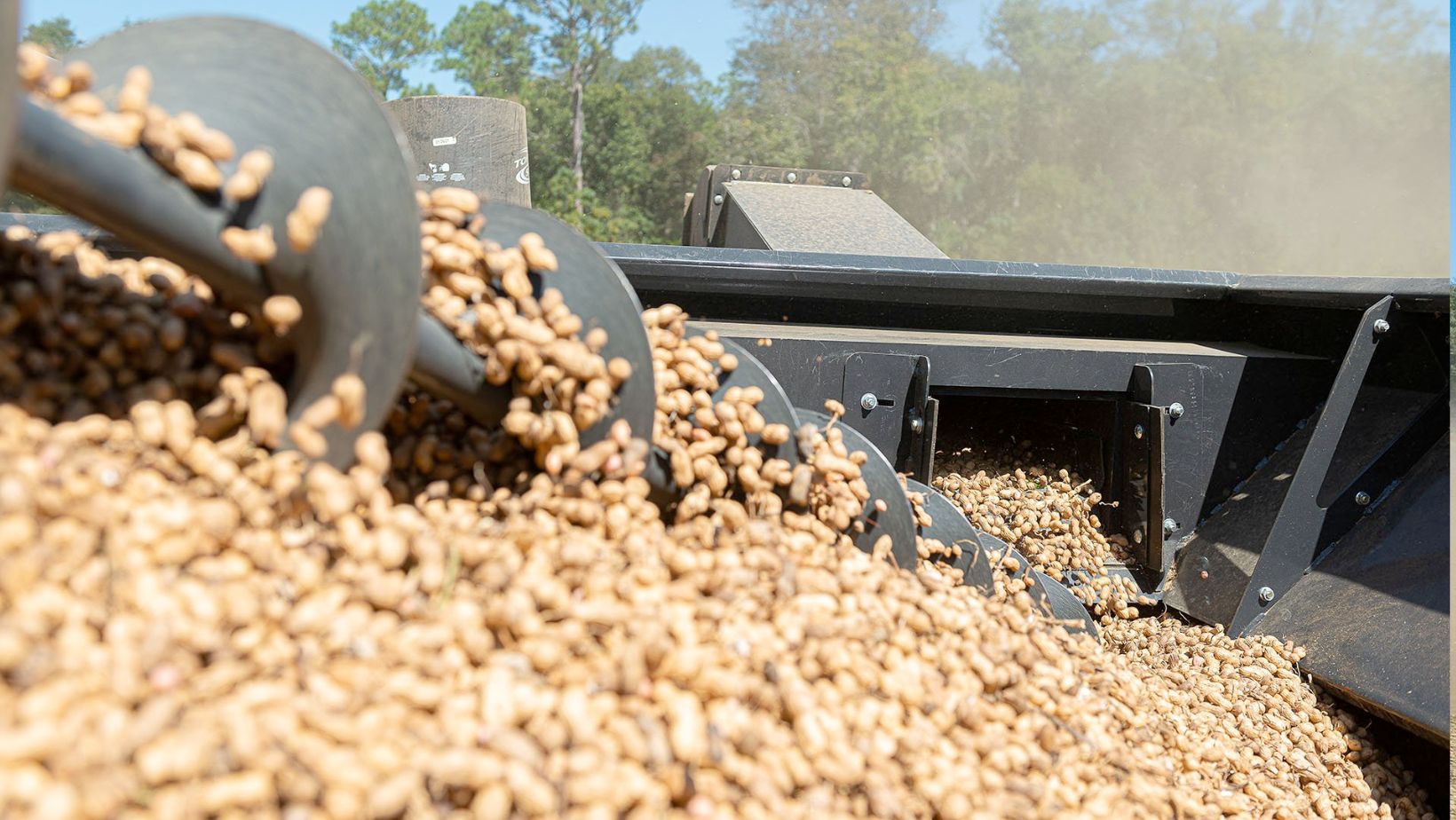 Implementos para Colheita de Amendoim - MIAC Colombo - amendoim