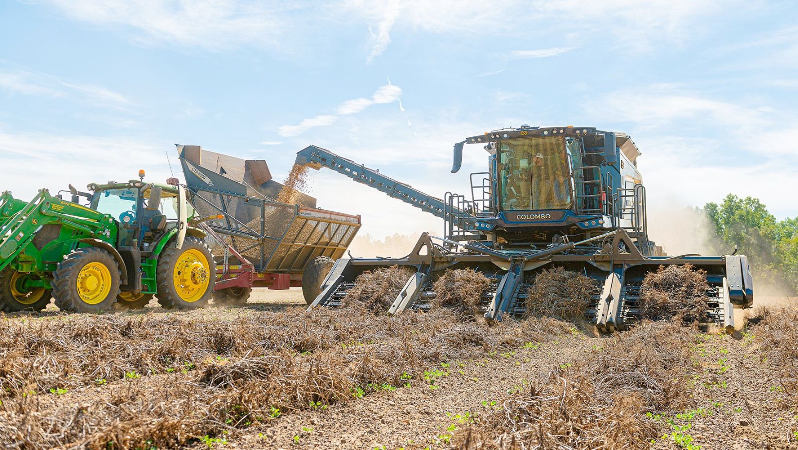 Implementos para Colheita de Amendoim - MIAC Colombo colhendo transbordo com trator john deere