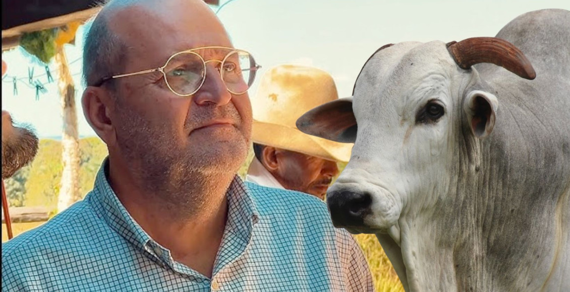 Paulo Leonel - ADIR NELORE - com touro nelore po
