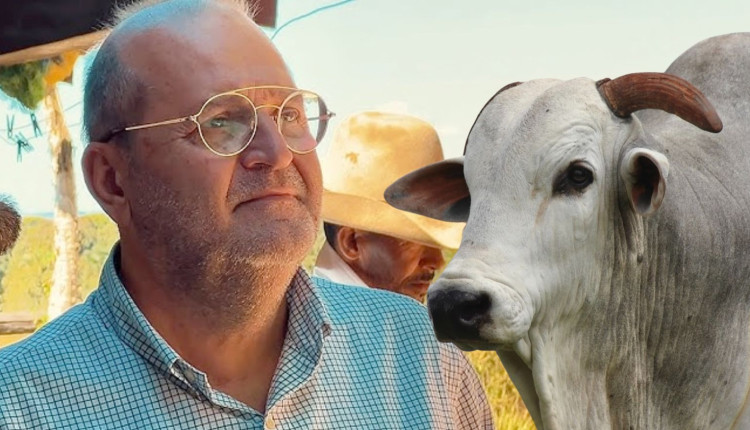 Paulo Leonel - ADIR NELORE - com touro nelore po - "Não preocupa quanto produz, mas quanto sobra": O segredo da lucratividade na pecuária