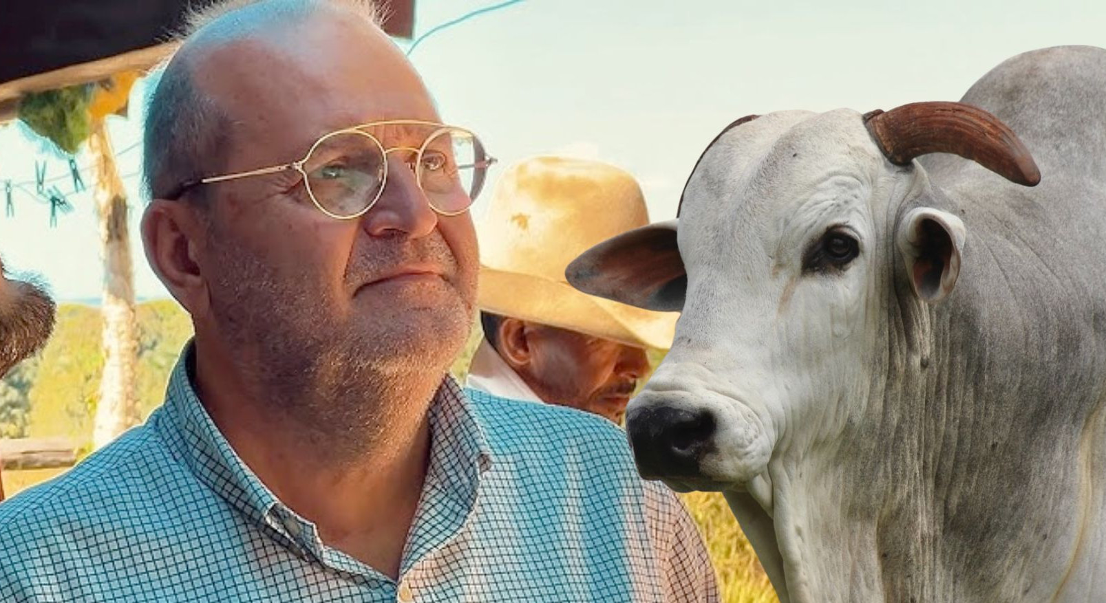 Paulo Leonel - ADIR NELORE - com touro nelore po - "Não preocupa quanto produz, mas quanto sobra": O segredo da lucratividade na pecuária