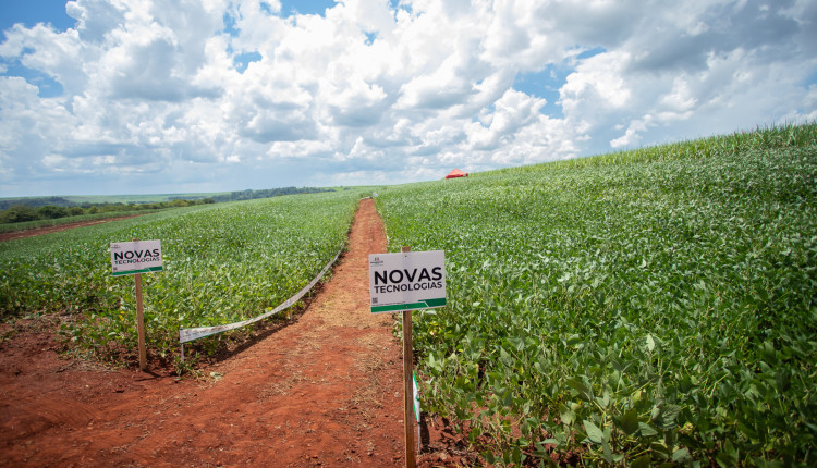 Empresa brasileira cria fertilizante nacional inovador para ajudar a diminuir a dependência por produtos importados