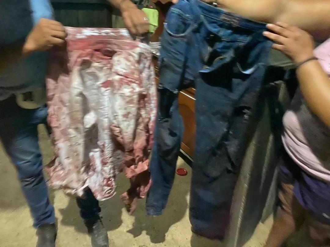 Peão é atacado por onça e resgatado de helicóptero no Pantanal; vídeo