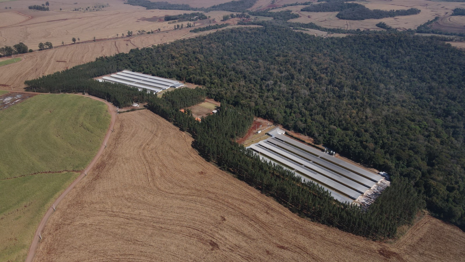 unidade de produção de ovos GTF