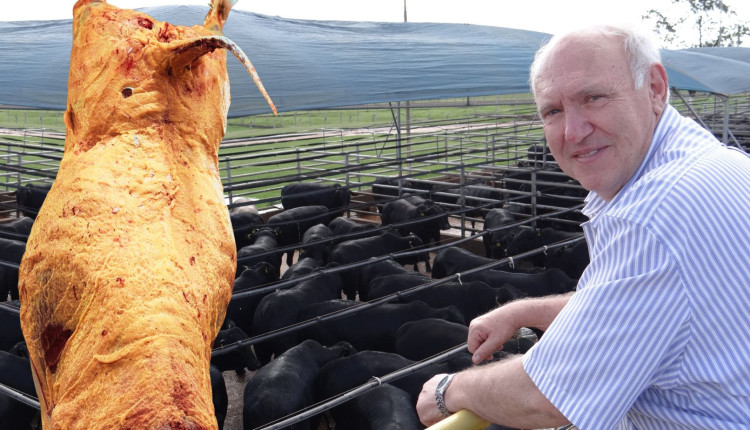 Wilson Brochmann - agropecuaria maragogipe - Concurso de Carcaca Angus