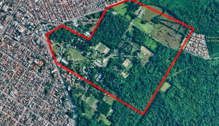 COP30: Embrapa anuncia AgriZone com vitrine de inovação global