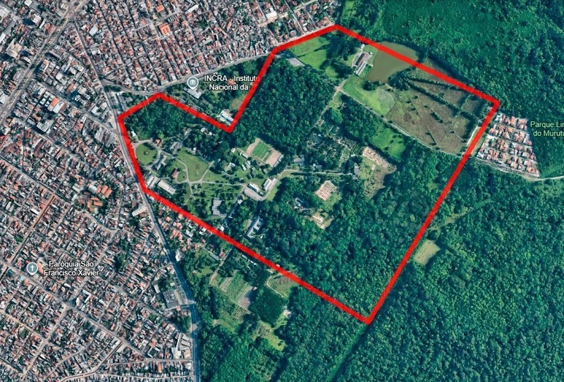 COP30: Embrapa anuncia AgriZone com vitrine de inovação global
