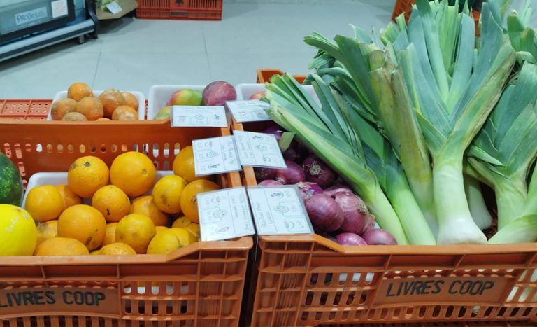 Mapa intensifica fiscalização de produtos orgânicos em São Paulo