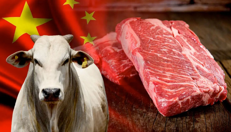 Secretário do Mapa descarta restrições da China à carne bovina do Brasil