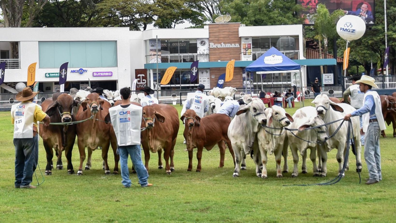 exposicao internacional do brahman - expobrahman