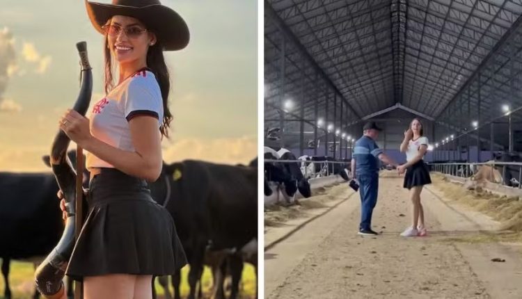 fazenda de amado batista