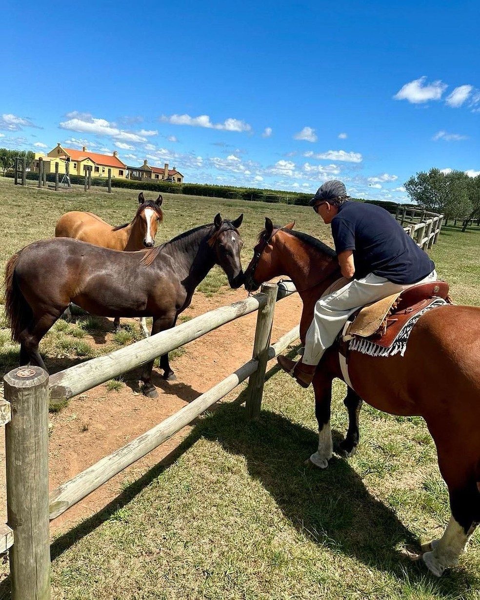 Conheça a fazenda de Galvão Bueno, um dos maiores nomes da vitivinivinhoscultura no Hemisfério Sul