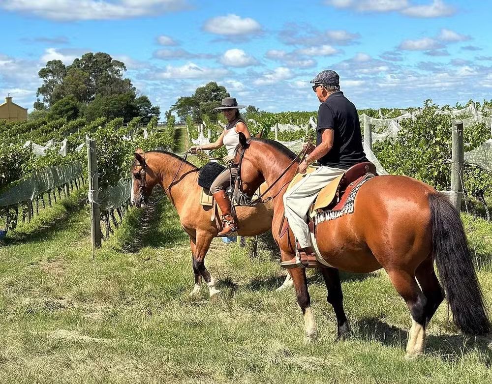 Conheça a fazenda de Galvão Bueno, um dos maiores nomes da vitivinivinhoscultura no Hemisfério Sul