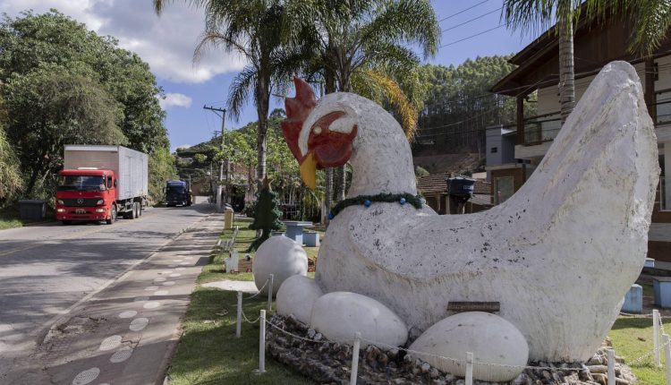 132 ovos por segundo: como Santa Maria de Jetibá se tornou a Capital Nacional do Ovo