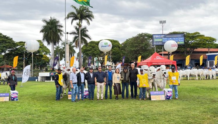 Casa Branca faz a Grande Campeã Nelore e é o Melhor Expositor da Expoinel, em Uberaba