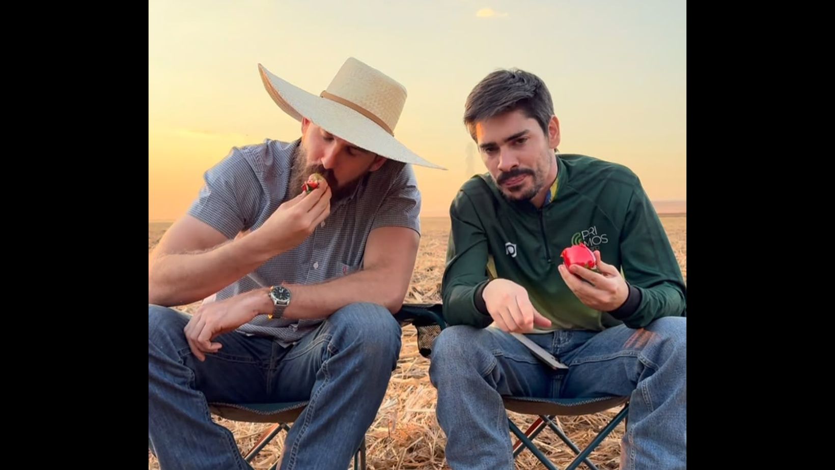 joao castro e eduardo palhares - primos agro
