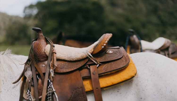 melhores selas para cavalos