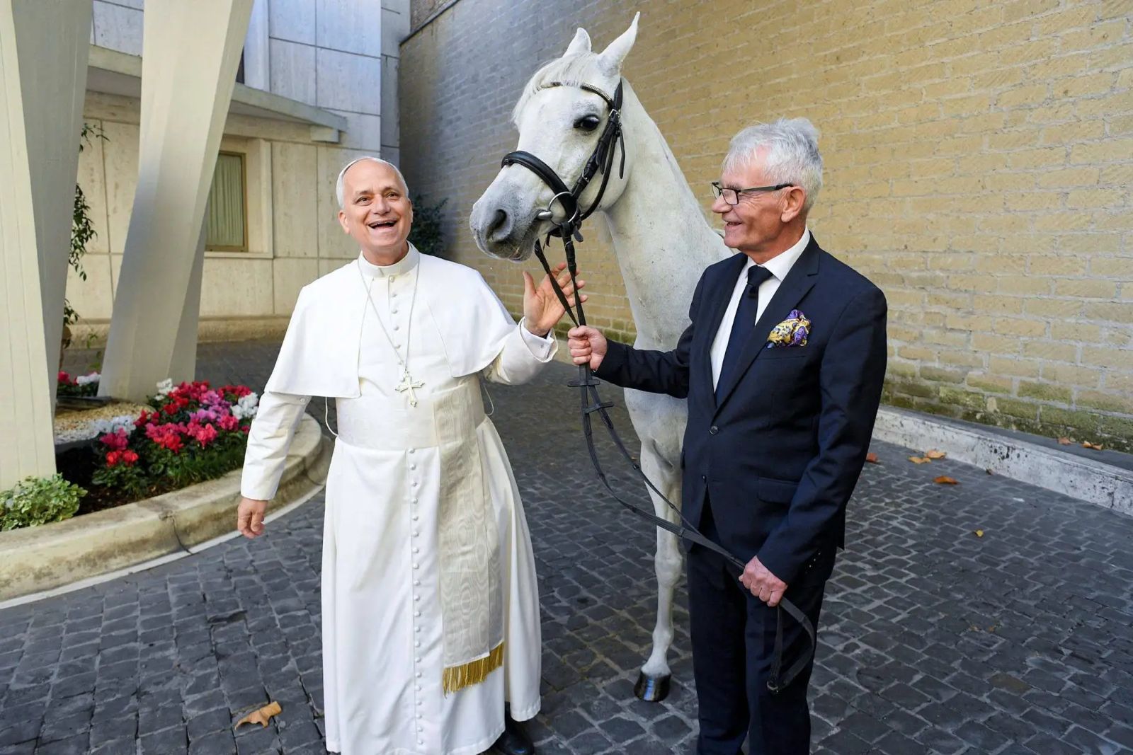 papa ganha cavalo