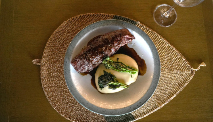 Roteiro da Carne destaca sabor, qualidade e sustentabilidade da proteína bovina de MT