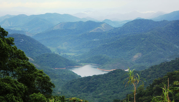 Debate sobre os impactos da mudança climática na Mata Atlântica reúne especialistas em São Paulo