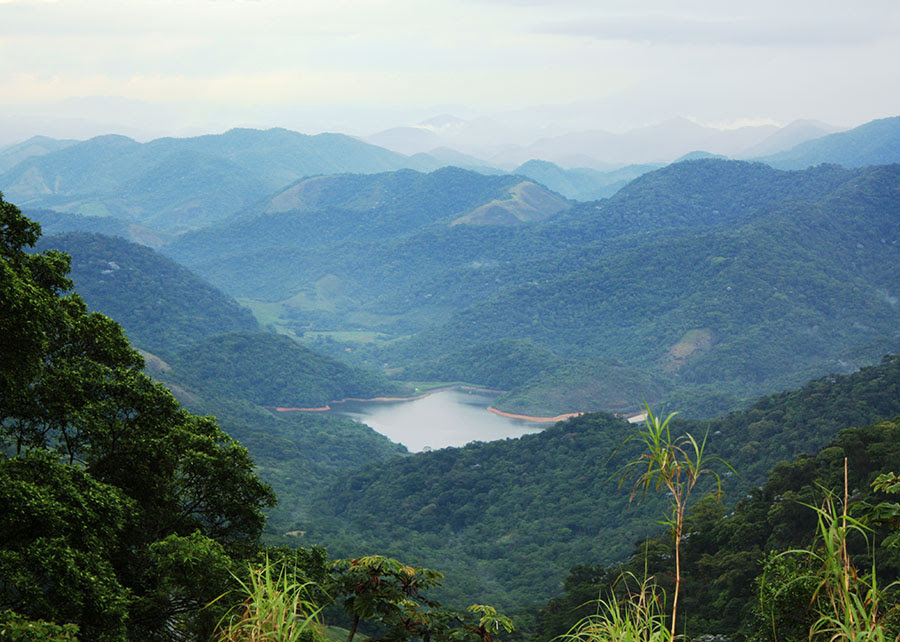 Debate sobre os impactos da mudança climática na Mata Atlântica reúne especialistas em São Paulo