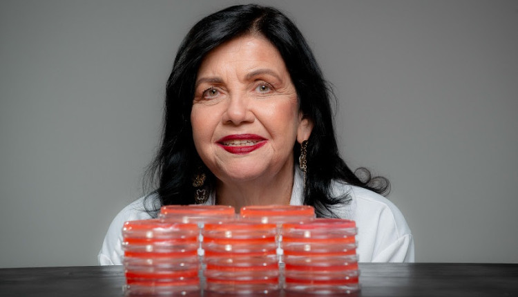 Mariangela Hungria receberá Prêmio Mundial da Alimentação/ “Nobel da Agricultura” nos Estados Unidos
