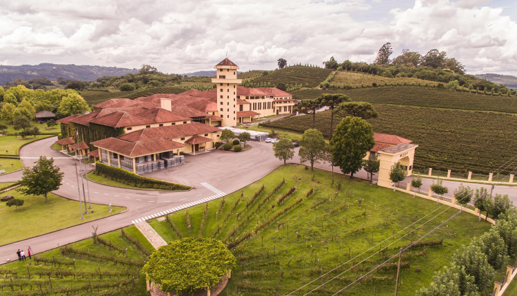 Maior número entre os 30% e maior nota entre os melhores 16 vinhos da Safra 2025