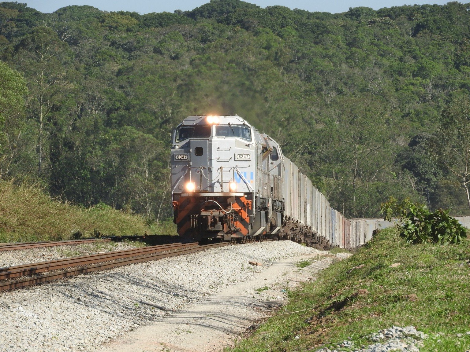 VLI e Tereos fazem 1ª operação ferroviária de açúcar com compensação de carbono